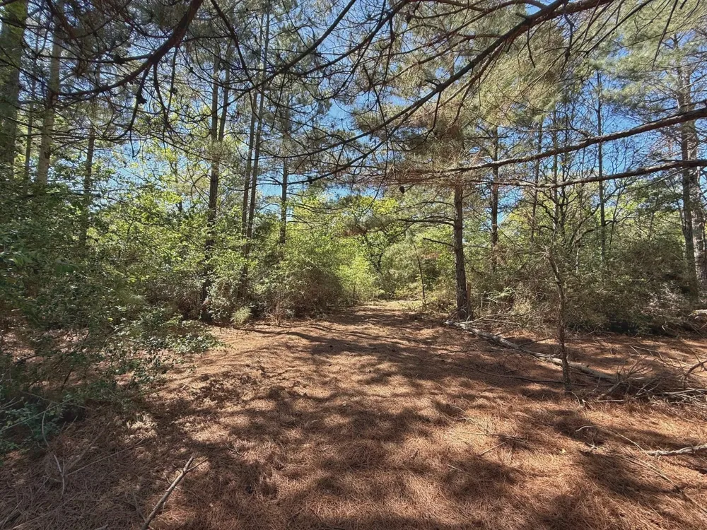 10 Cr 2926 Buffalo, TX 75831