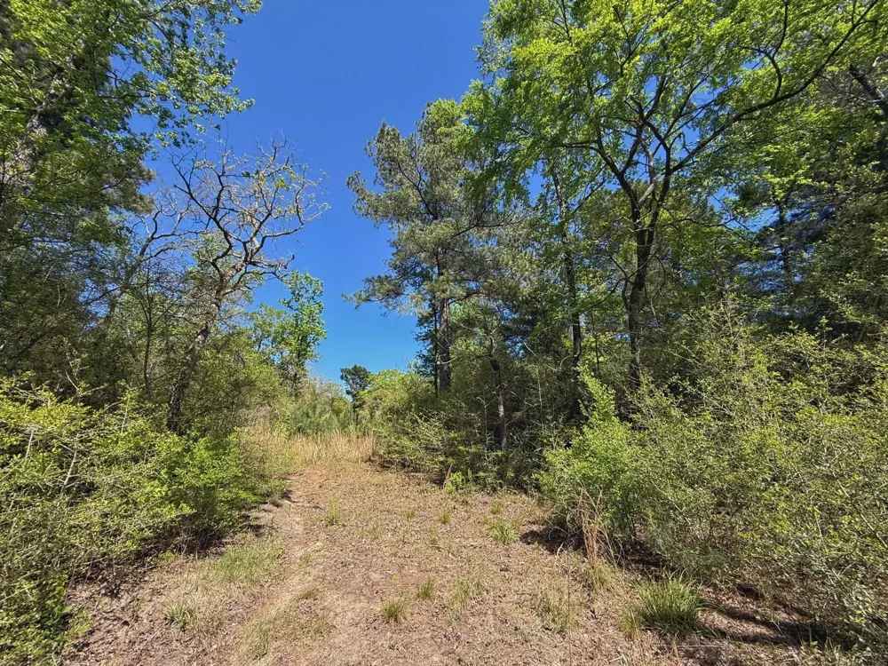 10 Cr 2926 Buffalo, TX 75831