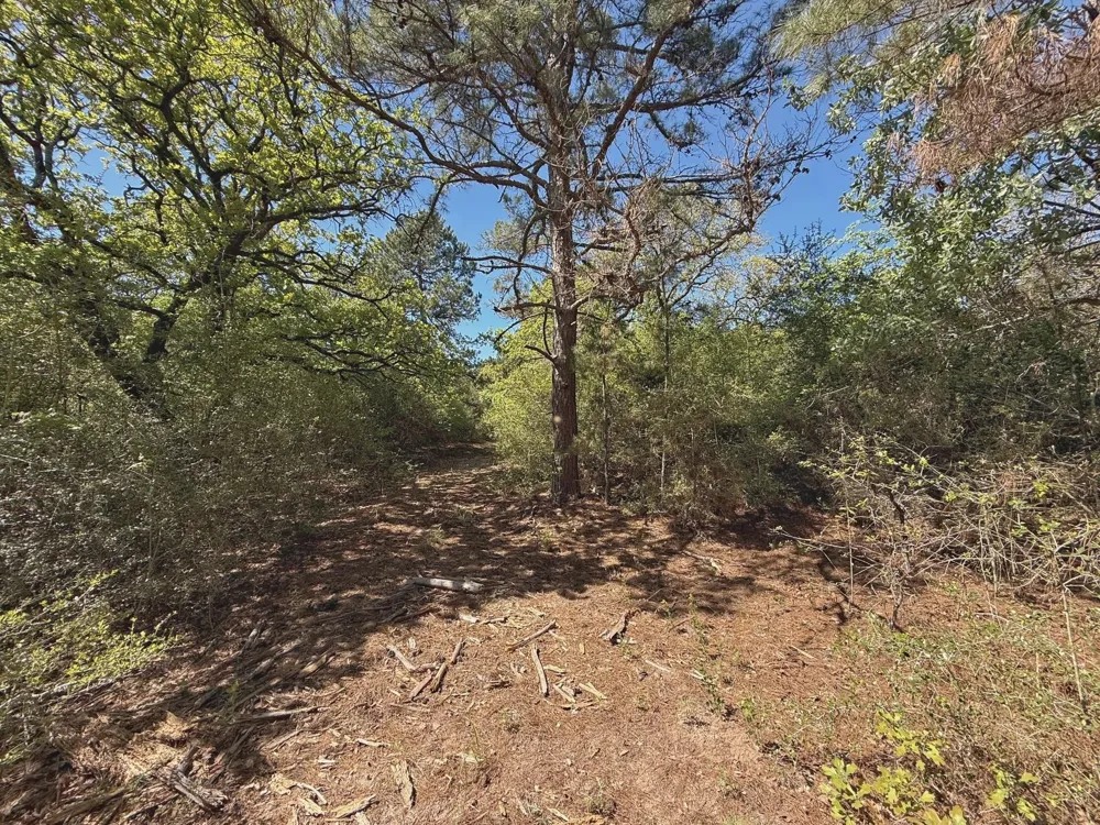 10 Cr 2926 Buffalo, TX 75831