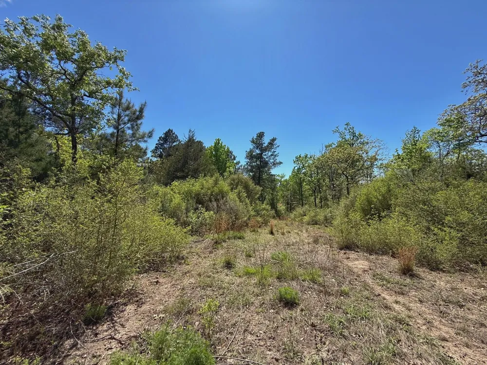 10 Cr 2926 Buffalo, TX 75831