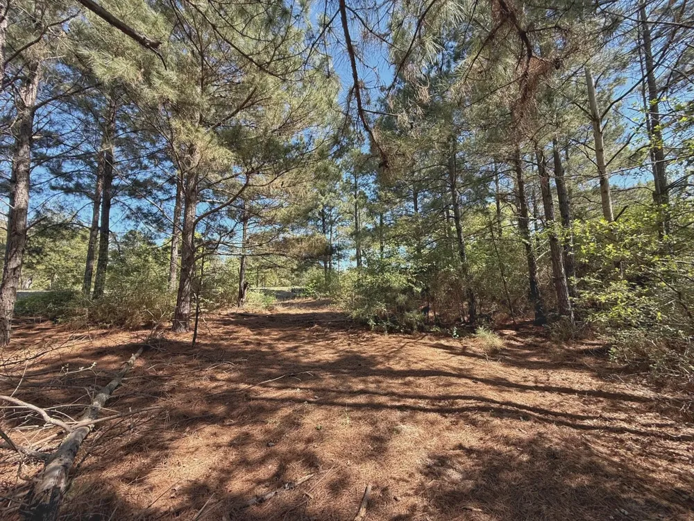 10 Cr 2926 Buffalo, TX 75831