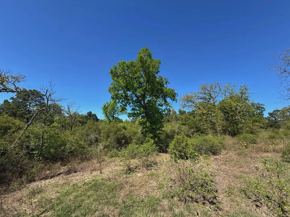 10 Cr 2926 Buffalo, TX 75831