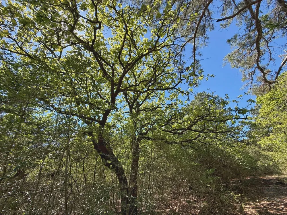 10 Cr 2926 Buffalo, TX 75831