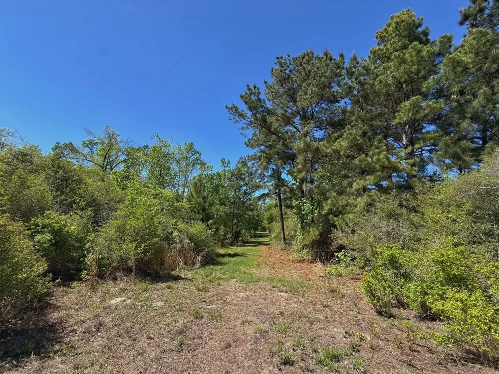 10 Cr 2926 Buffalo, TX 75831