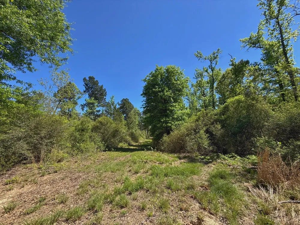 10 Cr 2926 Buffalo, TX 75831