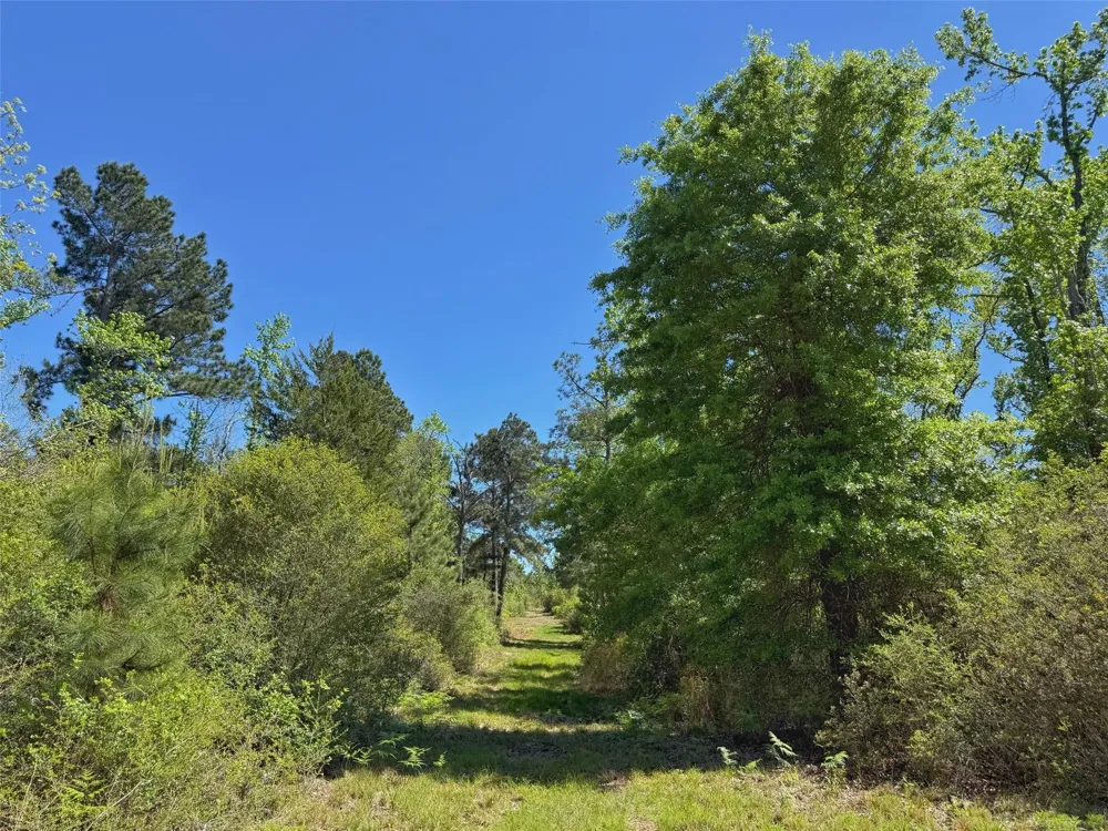 10 Cr 2926 Buffalo, TX 75831