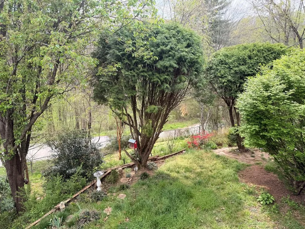 Regal Ave Sylva, NC 28779