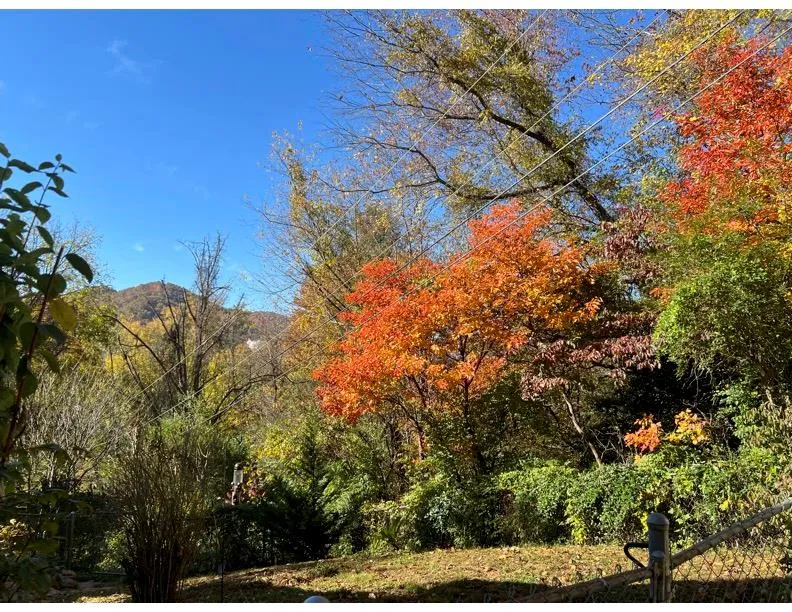 Regal Ave Sylva, NC 28779