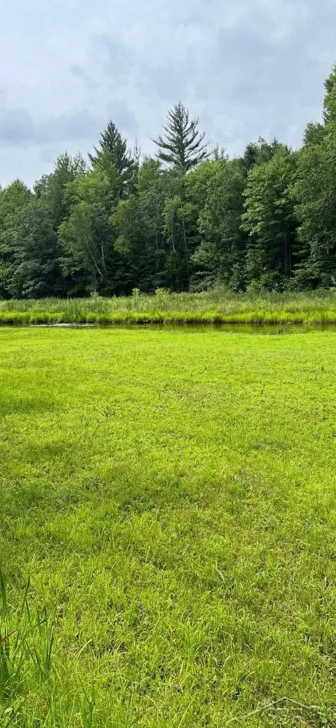 2823 River Ridge Road Bourret Township, MI 48610