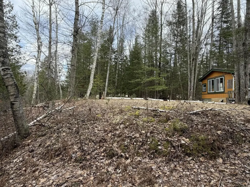 2823 River Ridge Road Bourret Township, MI 48610
