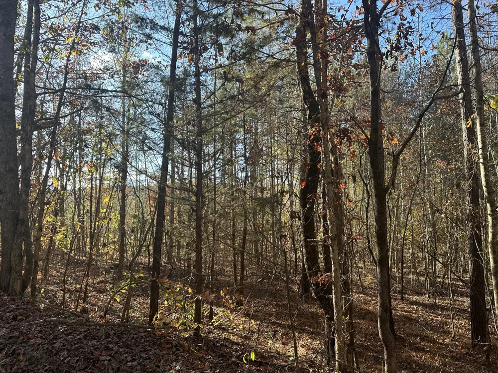 Redman Lane Decatur, TN 37322