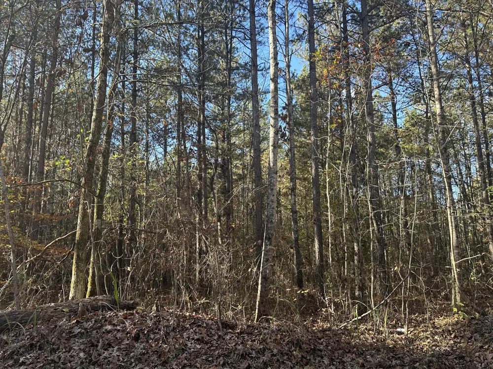 Redman Lane Decatur, TN 37322