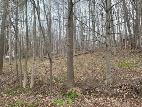 46 E Peterson