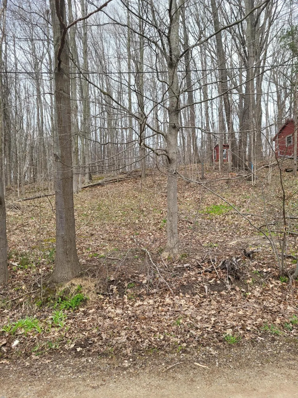 45 E Peterson Drive Gobles, MI 49055