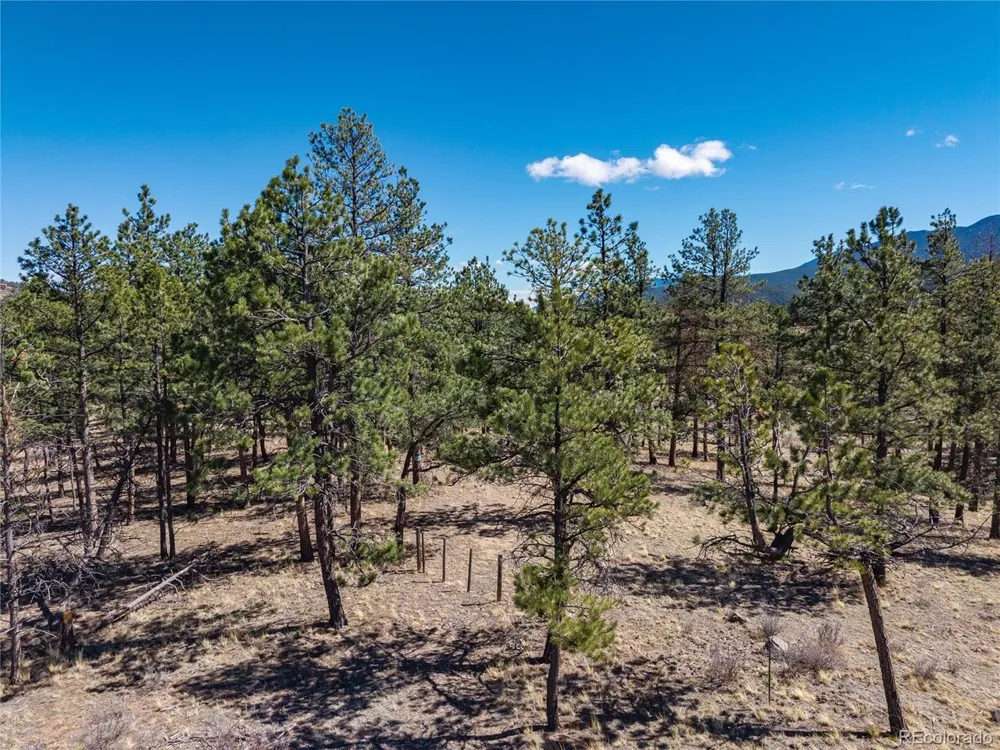Lot 12A Bailey Ests Bailey, CO 80421