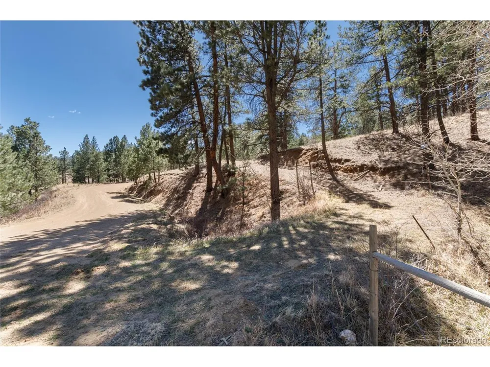 Lot 12A Bailey Ests Bailey, CO 80421