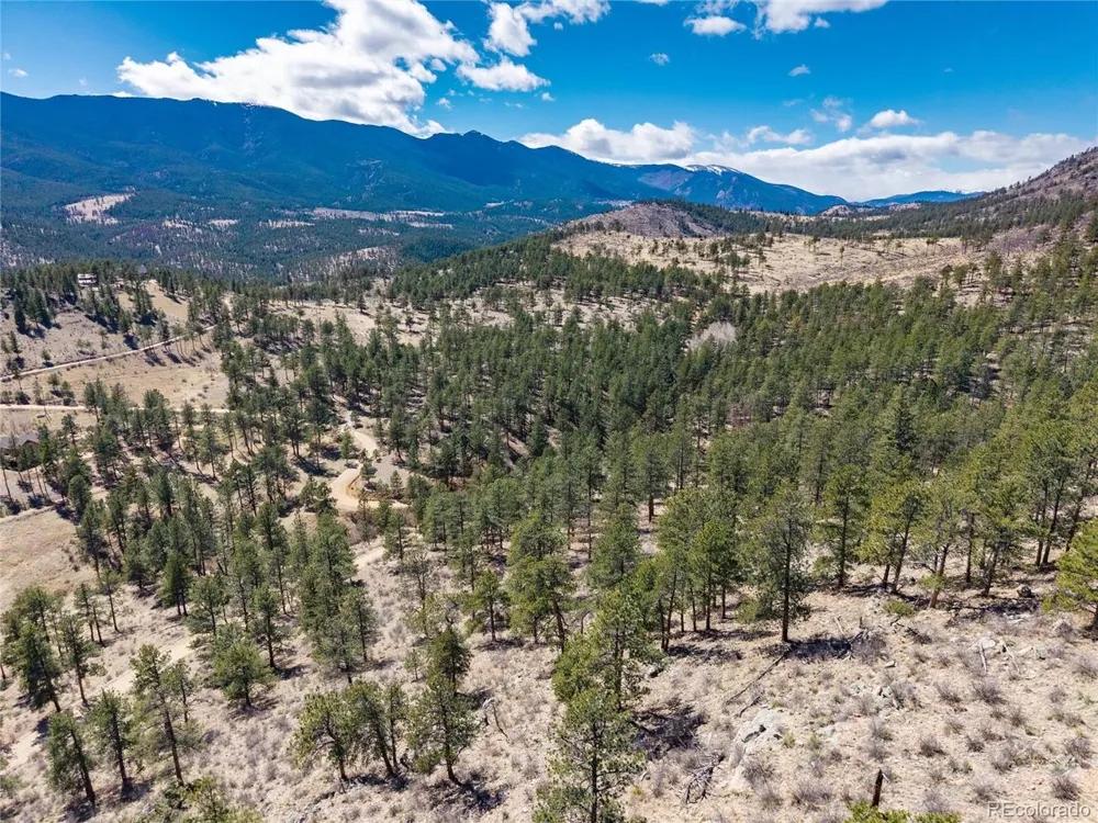 Lot 12A Bailey Ests Bailey, CO 80421