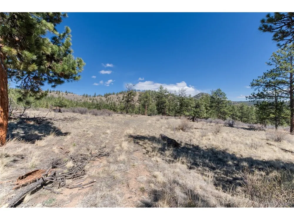 Lot 12A Bailey Ests Bailey, CO 80421