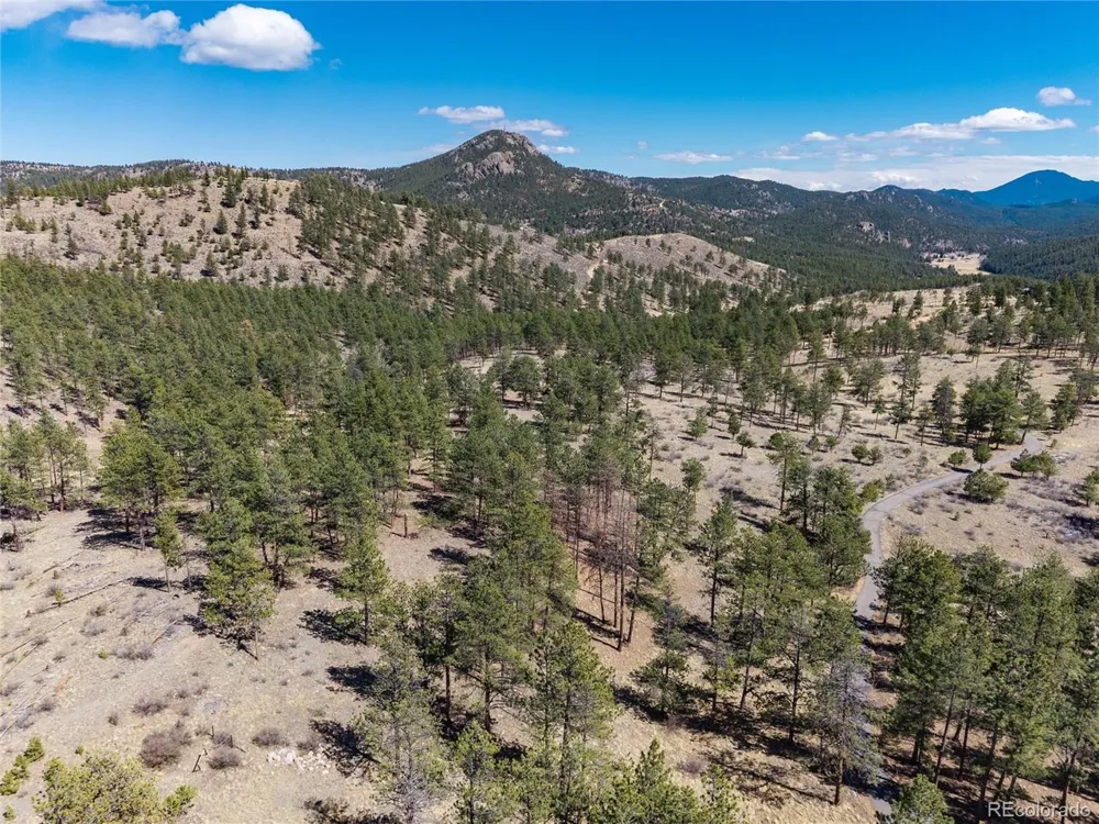 Lot 12A Bailey Ests Bailey, CO 80421