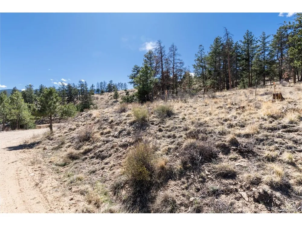 Lot 12A Bailey Ests Bailey, CO 80421