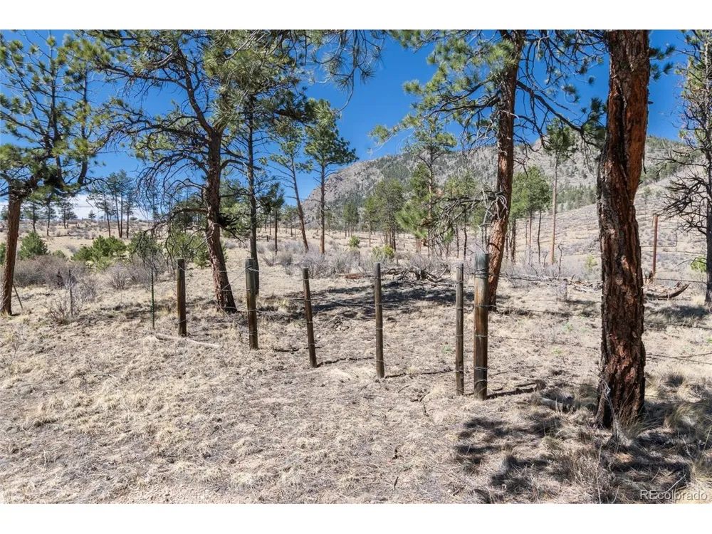 Lot 12A Bailey Ests Bailey, CO 80421