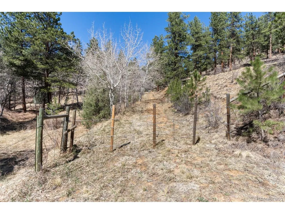 Lot 12A Bailey Ests Bailey, CO 80421