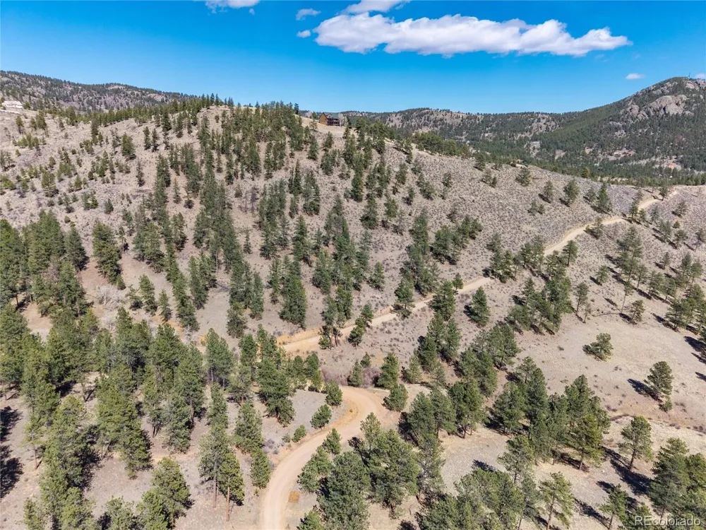 Lot 12A Bailey Ests Bailey, CO 80421