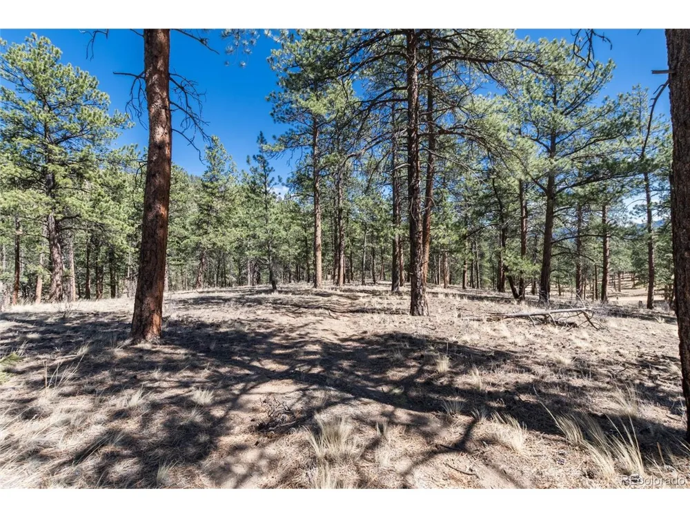 Lot 12A Bailey Ests Bailey, CO 80421