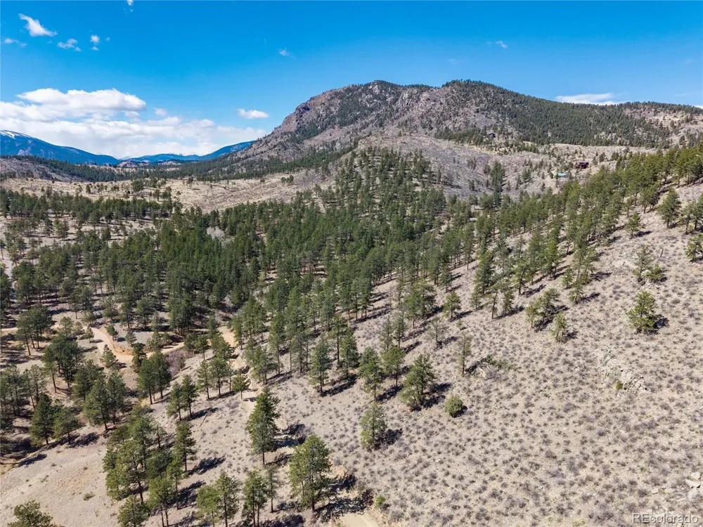Lot 12A Bailey Ests Bailey, CO 80421
