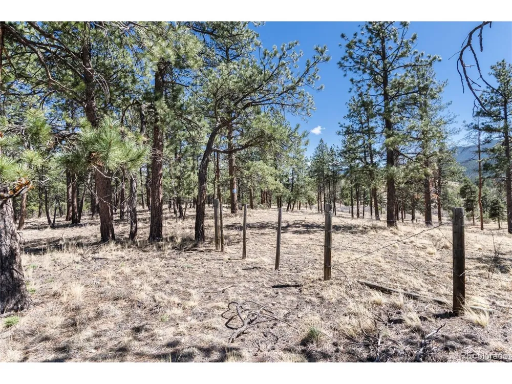 Lot 12A Bailey Ests Bailey, CO 80421