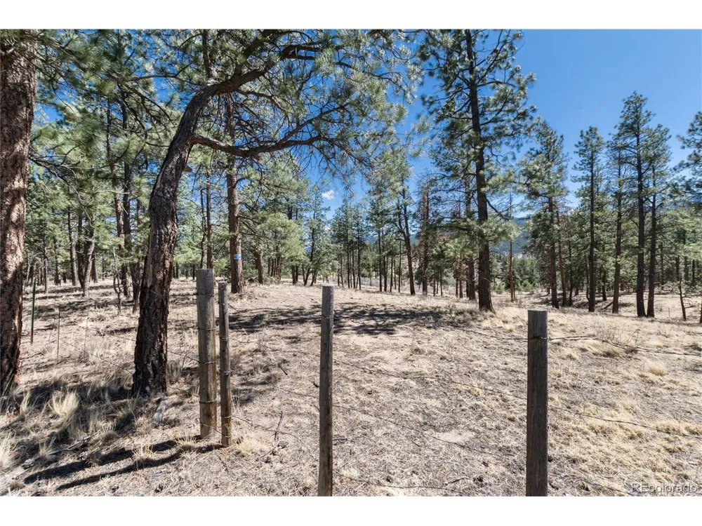 Lot 12A Bailey Ests Bailey, CO 80421