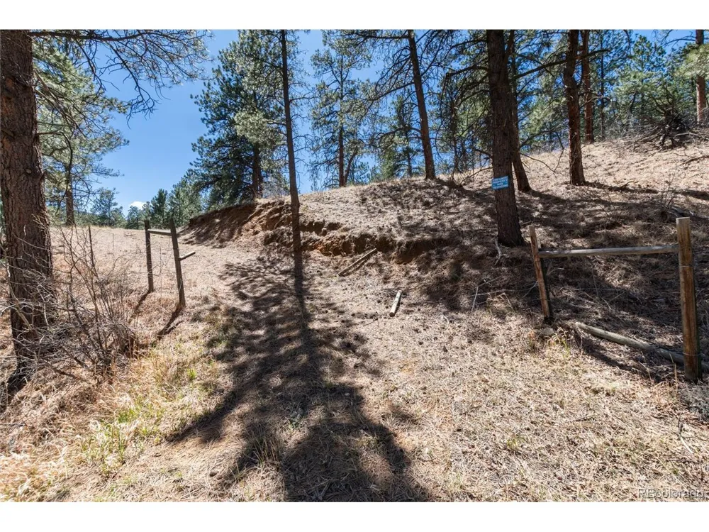 Lot 12A Bailey Ests Bailey, CO 80421