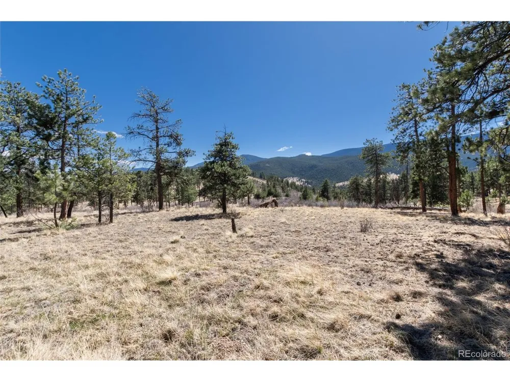 Lot 12A Bailey Ests Bailey, CO 80421