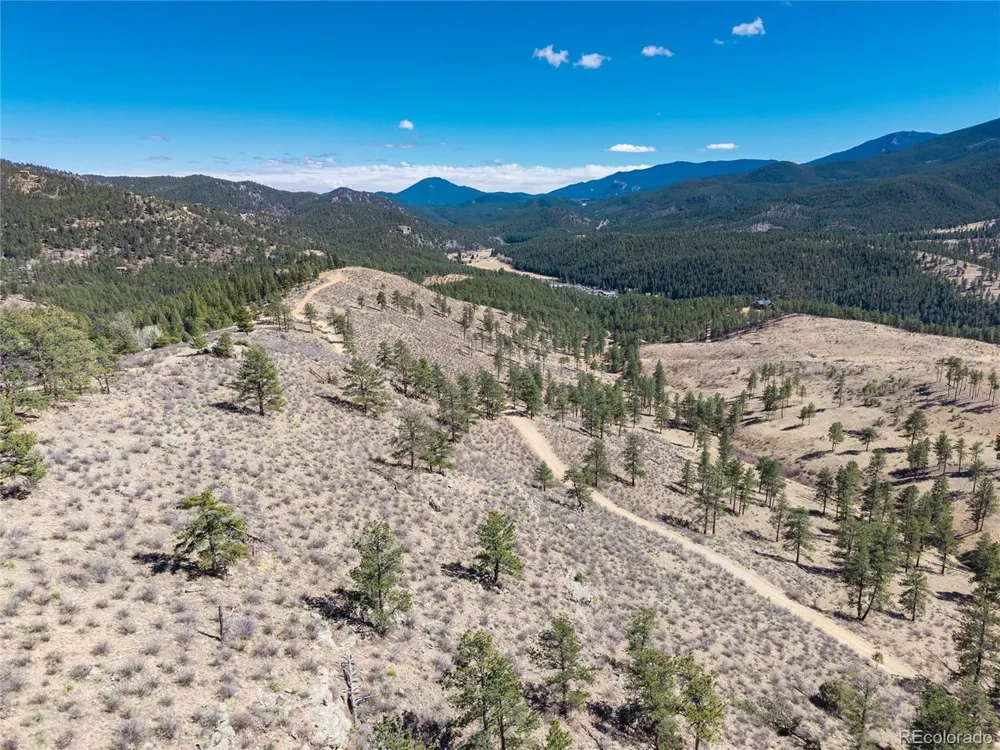 Lot 12A Bailey Ests Bailey, CO 80421