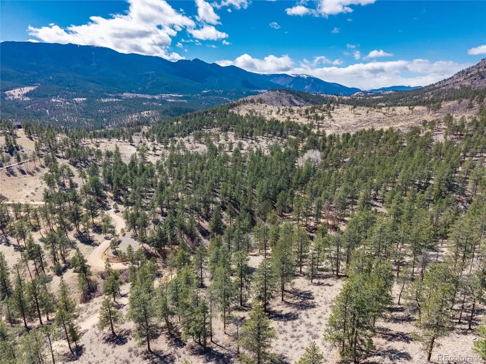 Lot 12A Bailey Ests Bailey, CO 80421