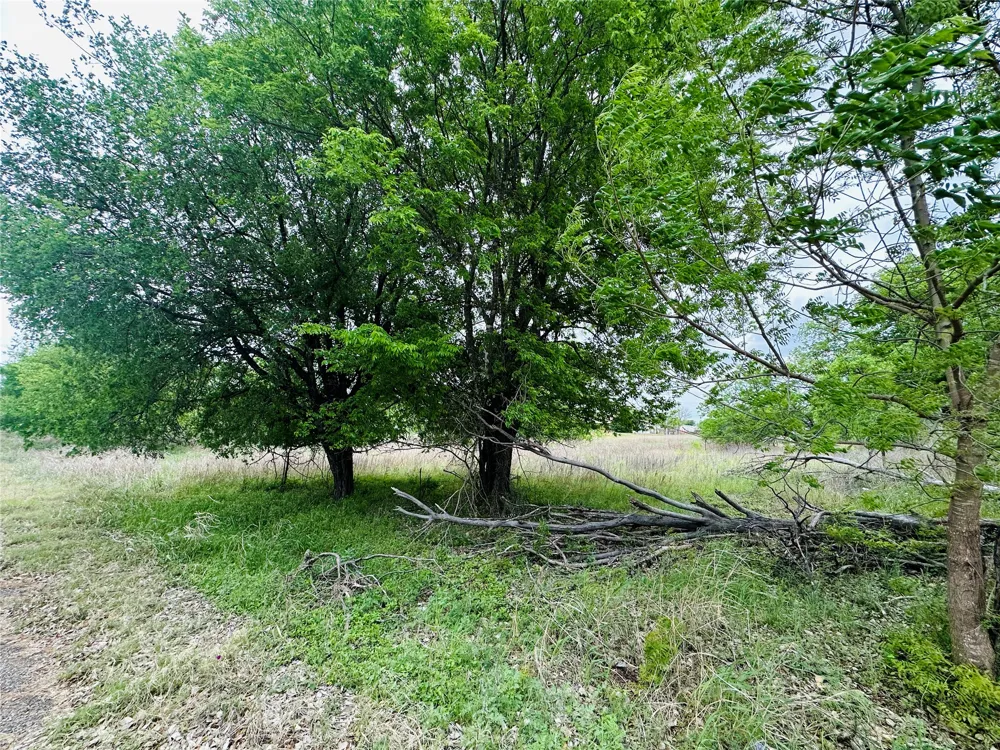 LUCKENBACH STREET Llano, TX 78643