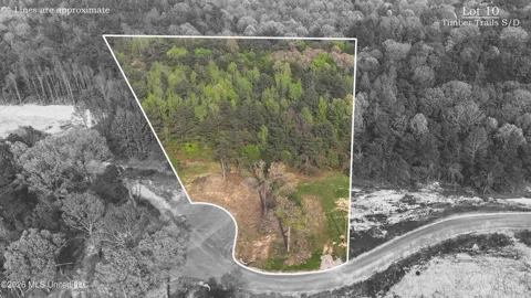 10 Tyro Branch Cove