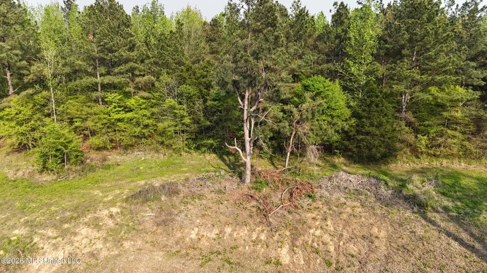 10 Tyro Branch Cove Senatobia, MS 38668