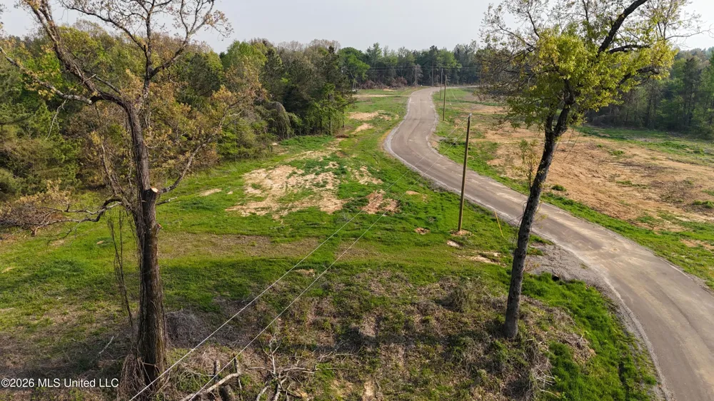 10 Tyro Branch Cove Senatobia, MS 38668