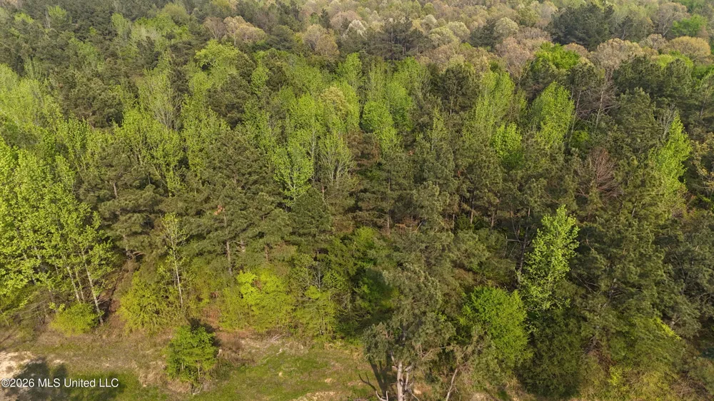 10 Tyro Branch Cove Senatobia, MS 38668
