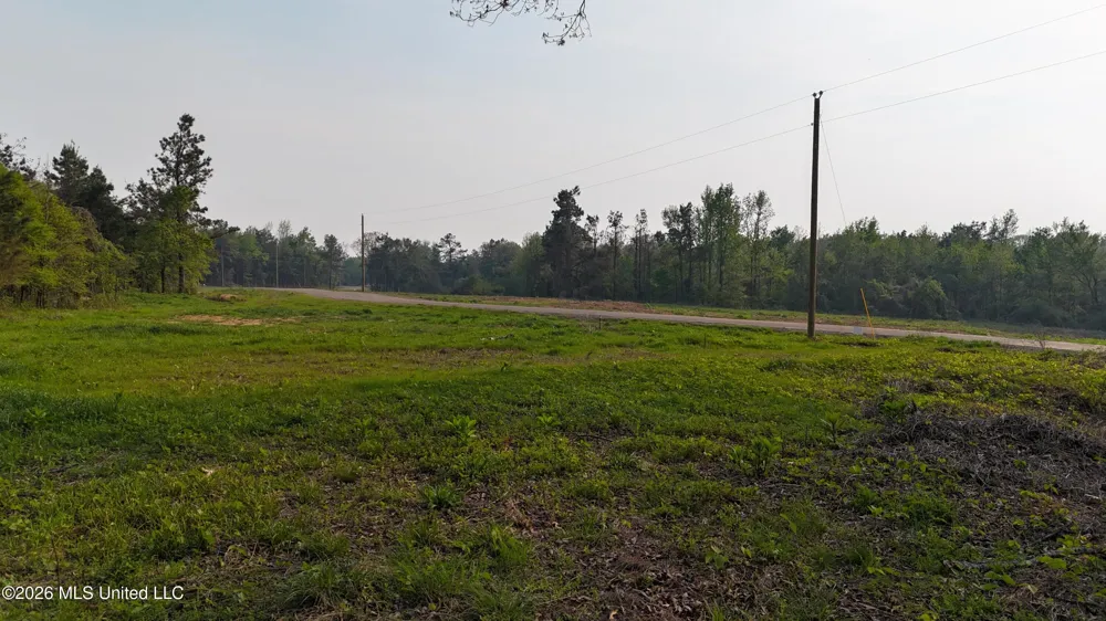 10 Tyro Branch Cove Senatobia, MS 38668