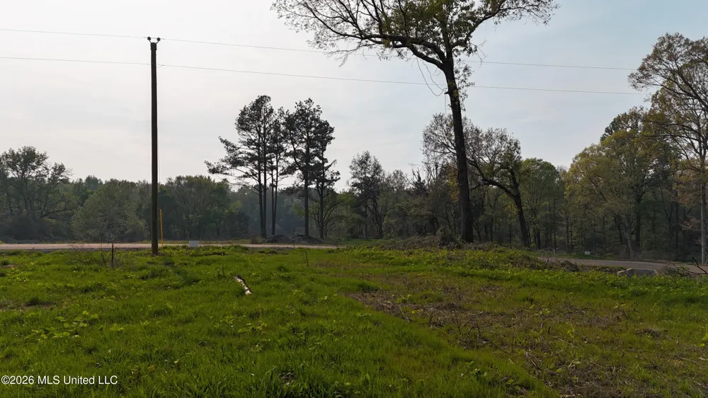 10 Tyro Branch Cove Senatobia, MS 38668