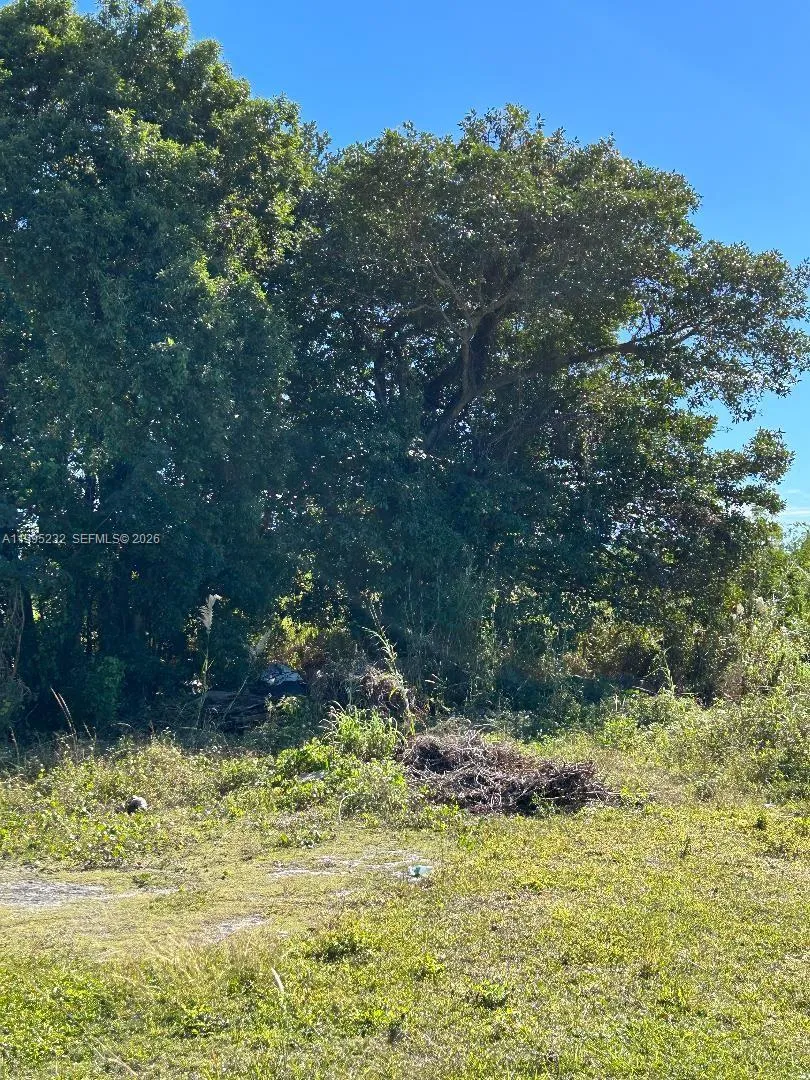 21820 112th Ct Unincorporated Dade County, FL 33170