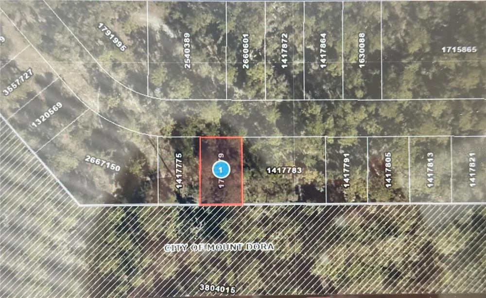 Lot 34 WOLF BRANCH RD Mount Dora, FL 32757