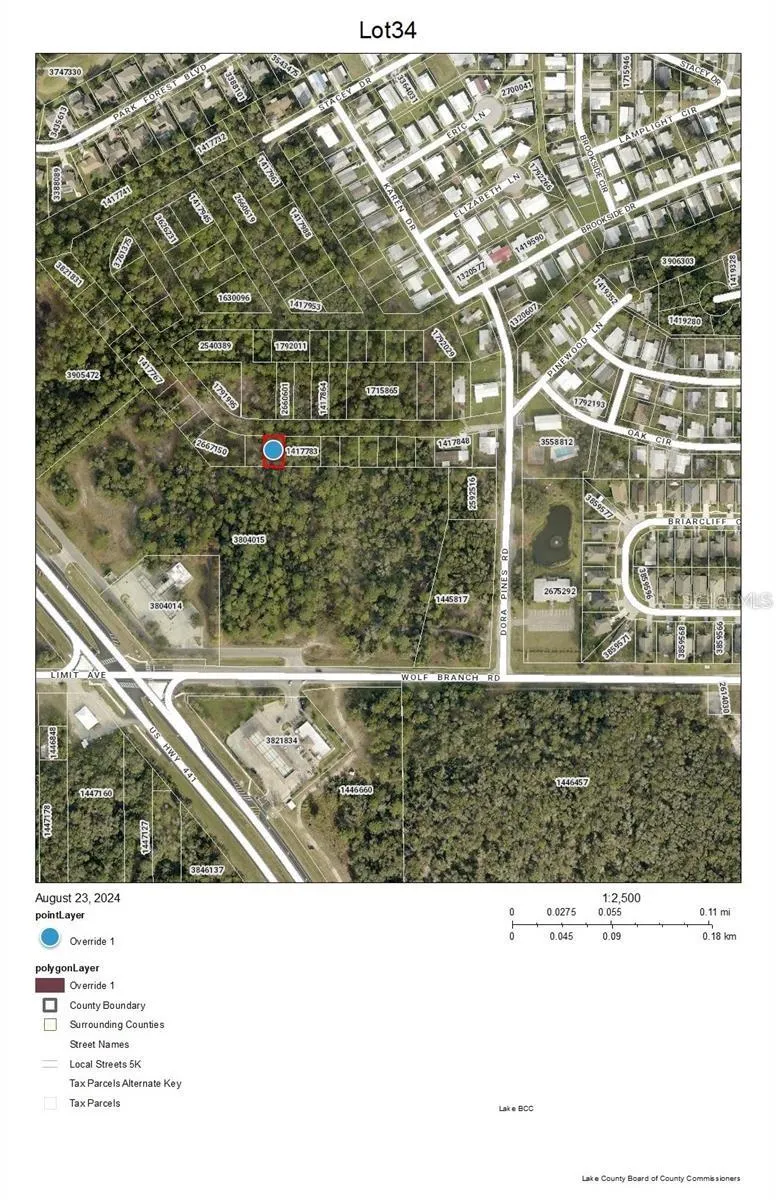 Lot 34 WOLF BRANCH RD Mount Dora, FL 32757