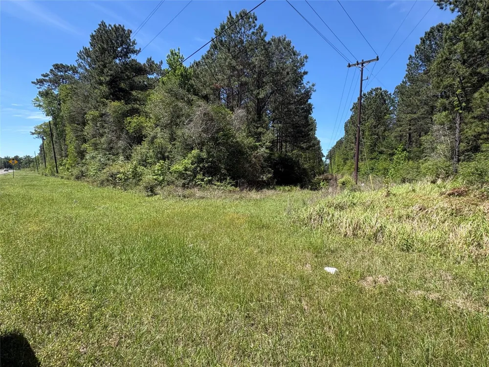 Fm 92 Rd S Spurger, TX 77660