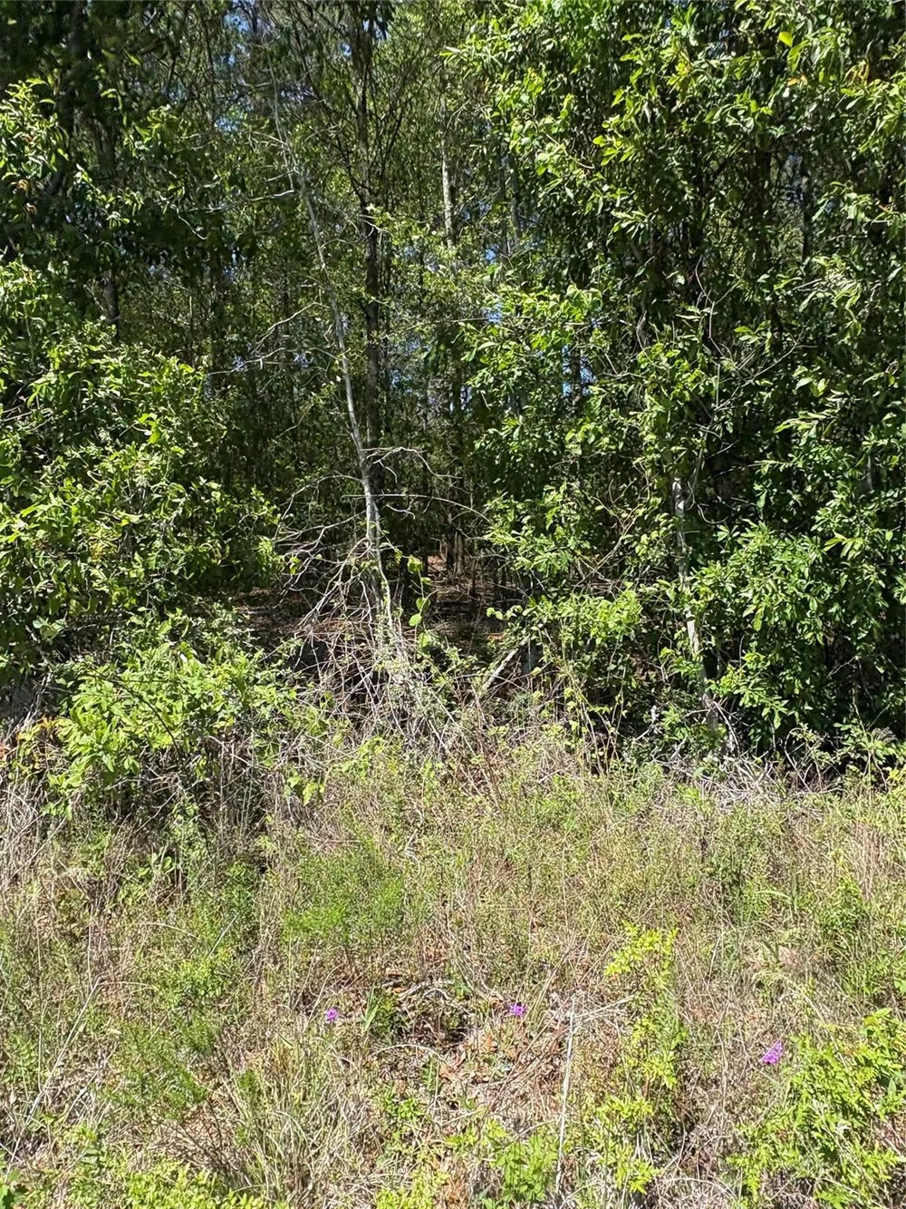 Fm 92 Rd S Spurger, TX 77660