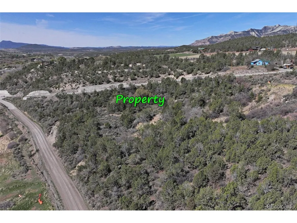 58450 Buzzard Creek Road Collbran, CO 81624