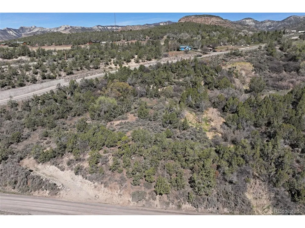 58450 Buzzard Creek Road Collbran, CO 81624