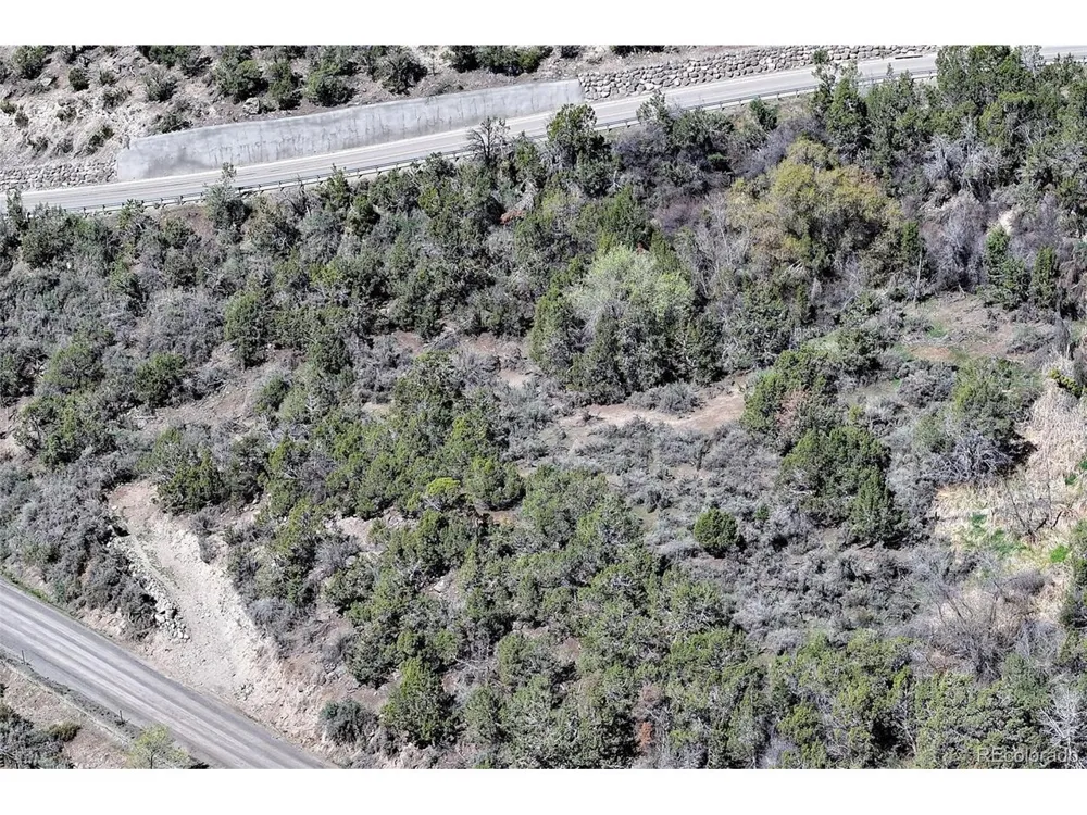 58450 Buzzard Creek Road Collbran, CO 81624